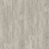 Clouded-Ash-_resized