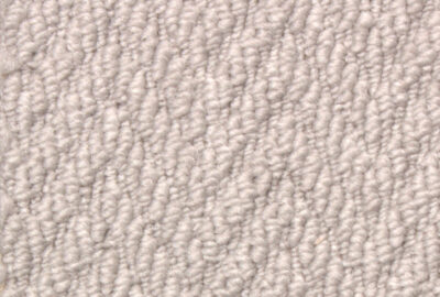 Floornet Etosha Broadloom Carpet