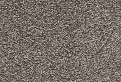 Floornet Amber Broadloom Carpet