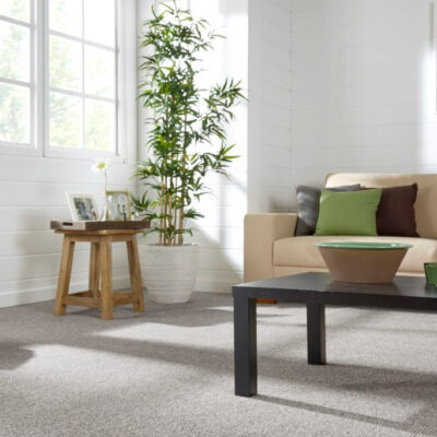 Floornet-Carlton-Carpet-Lifestyle