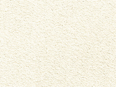 Floornet Romeo Broadloom Carpet