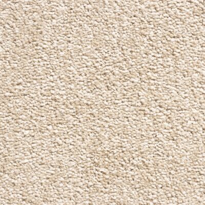 Floornet Ultimate Twist Broadloom Carpet