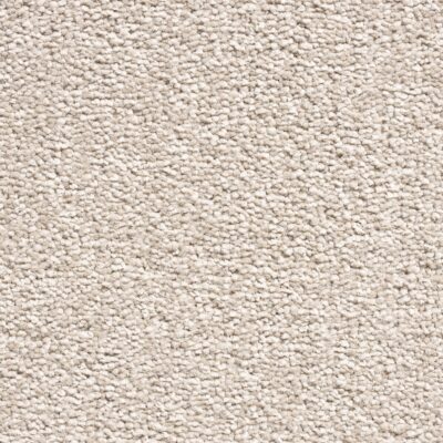 Floornet Ultimate Twist Broadloom Carpet