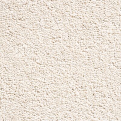 Floornet Ultimate Twist Broadloom Carpet