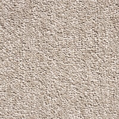 Floornet Ultimate Twist Broadloom Carpet