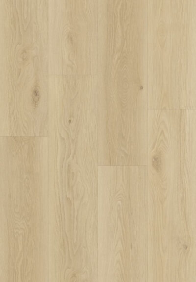 Galaxy-II-Zephyra-(3) Finfloor Galaxy II Zephyra